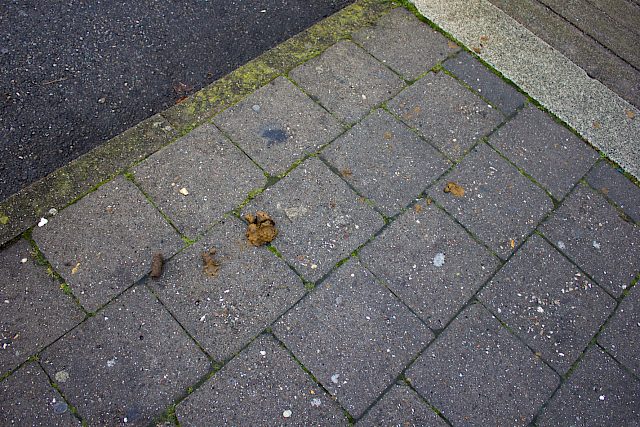 ZwolsePoepStoep